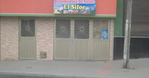 DISTRIBUIDORA DE POLLOS EL SILOE DISTRIBUIDORA DE POLLOS EL SILOE
